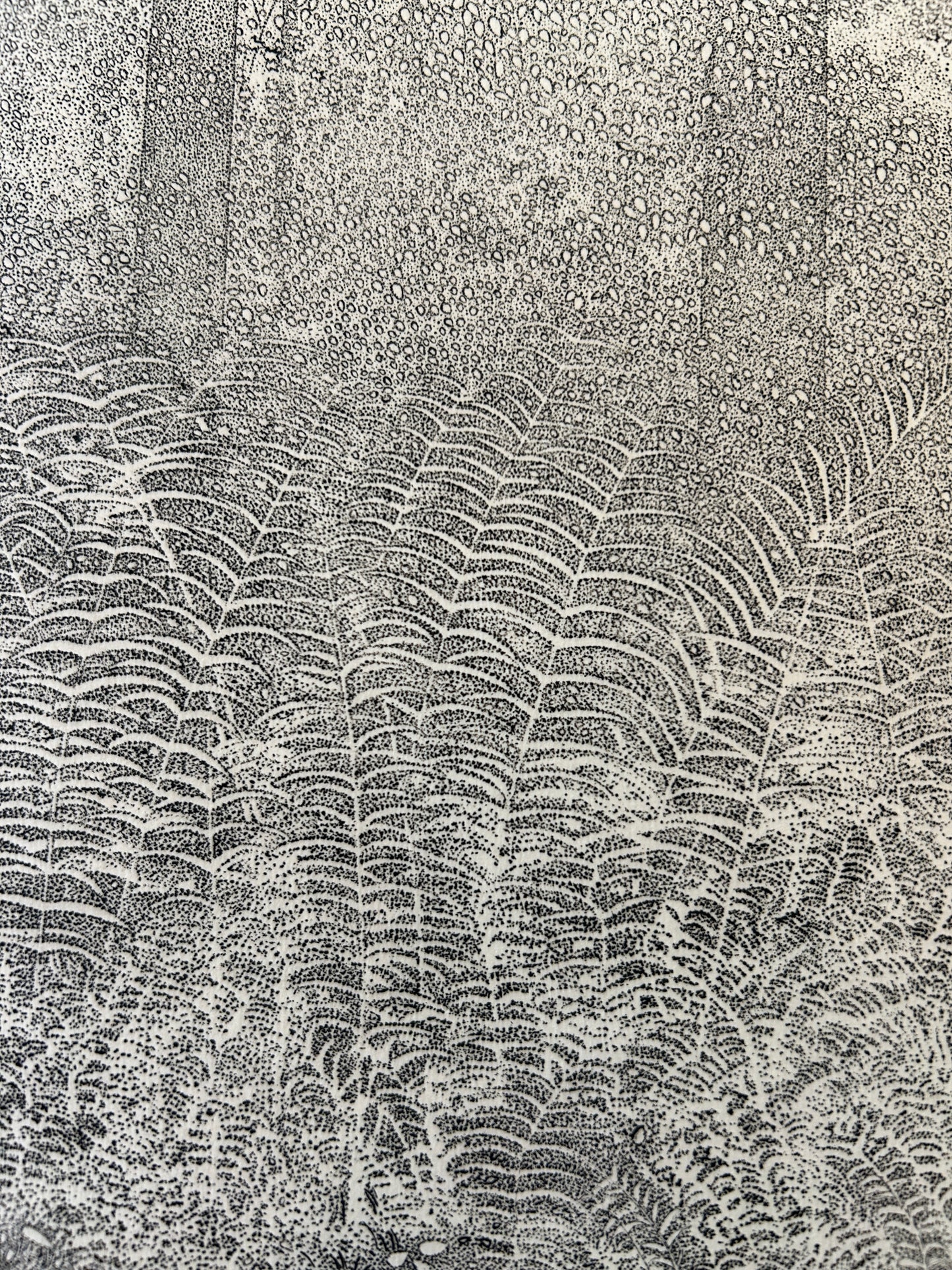 Richard Claude Ziemann 'Ferns' Limited Edition, Signed  Etching