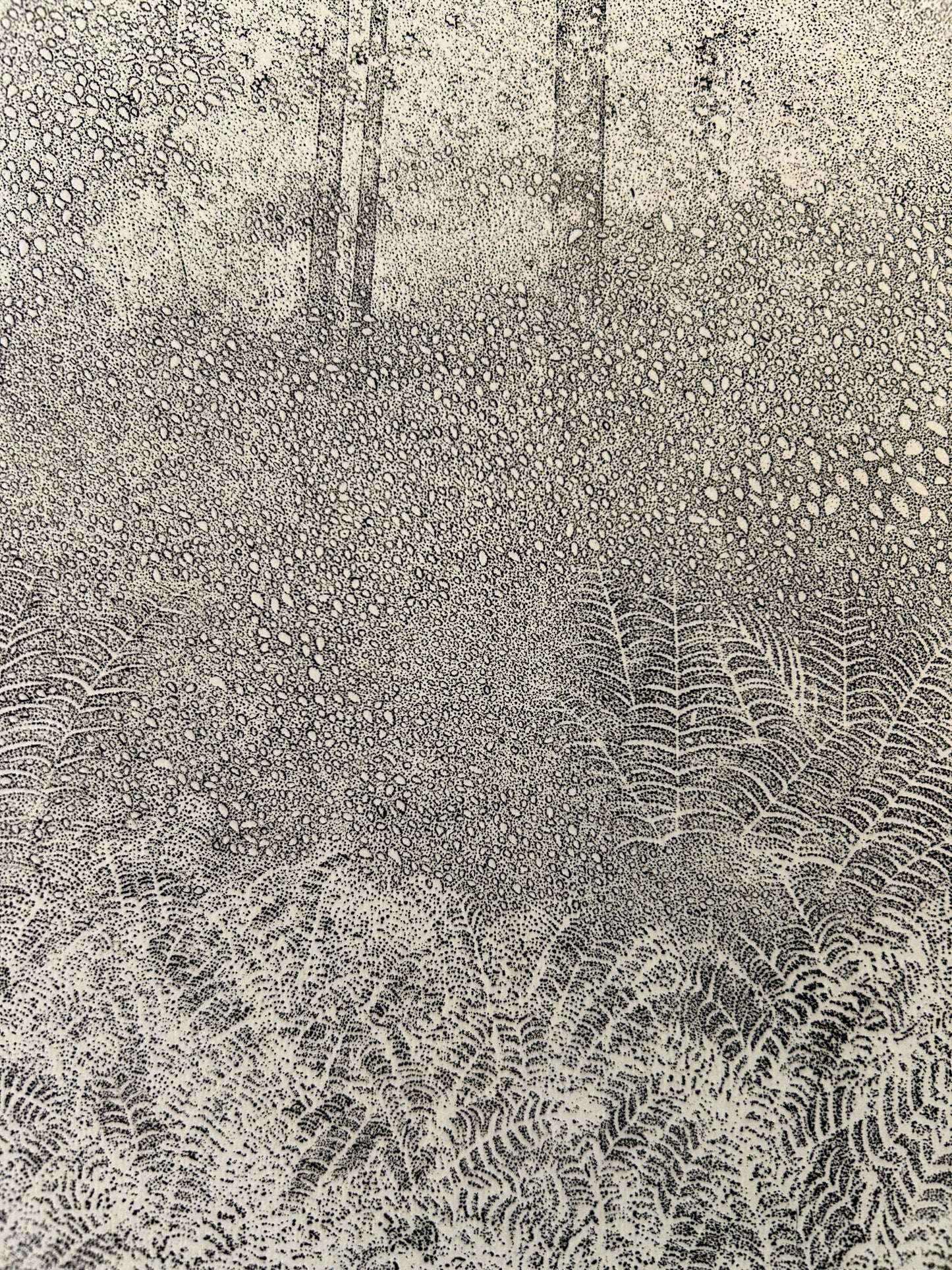 Richard Claude Ziemann 'Ferns' Limited Edition, Signed  Etching