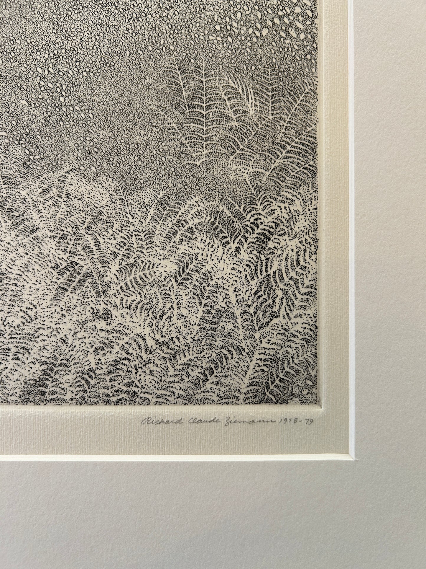 Richard Claude Ziemann 'Ferns' Limited Edition, Signed  Etching