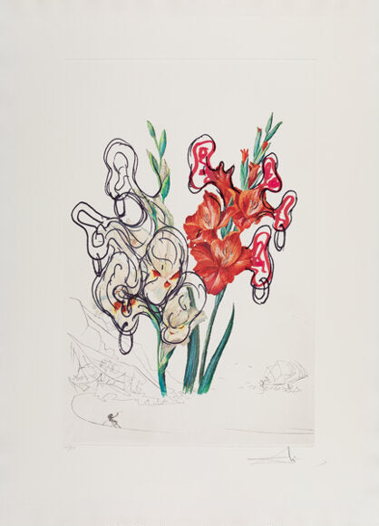 Salvador Dalí  'Gladiolus Cum Aurium Corymbo Expectantium'