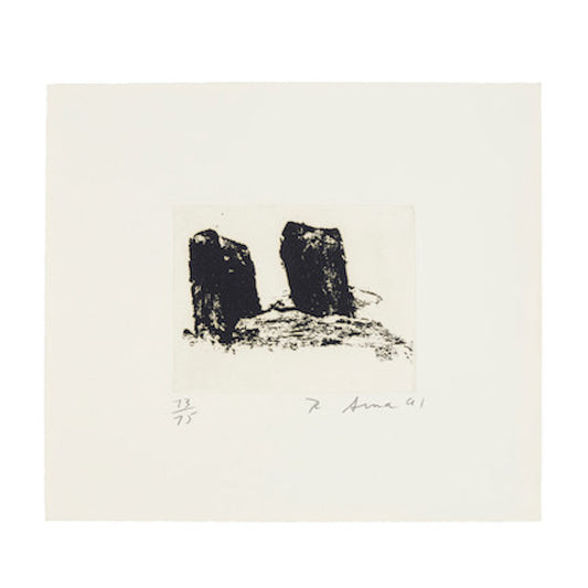 Richard Serra Videy Afangar #6