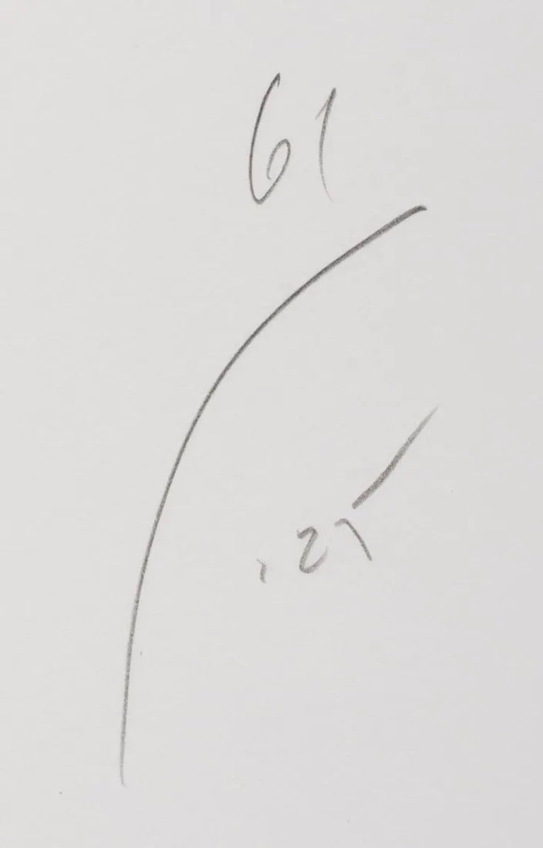 Donald Sultan 'Fish' (from Fruit and Flowers)