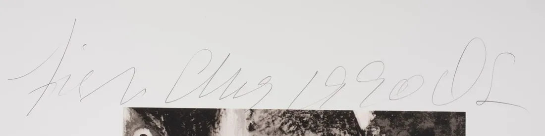 Donald Sultan 'Fish' (from Fruit and Flowers)