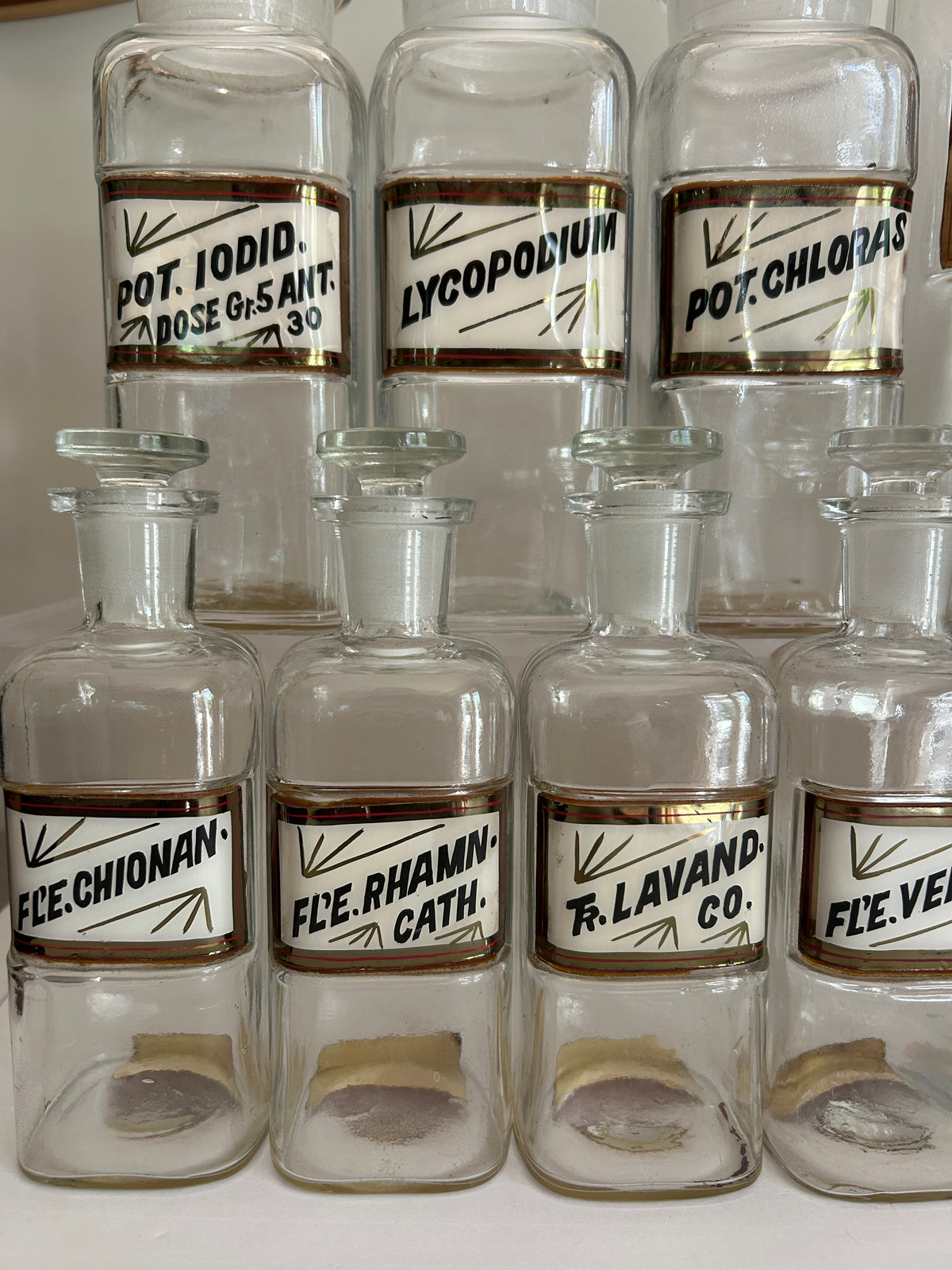 Antique Whitall Tatum Co. Reverse-Painted Gilded Label Apothecary Jars, Set of 16
