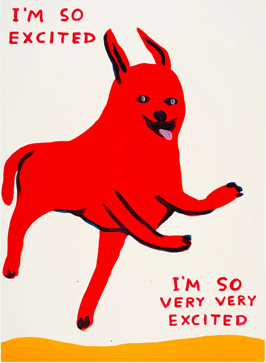 David Shrigley 'I'm So Excited' Signed, Limited Edition Print