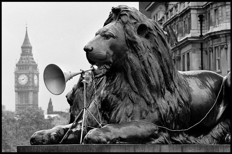 Arthur Steel: Uproar, Landseer Lion-The Darkroom Society