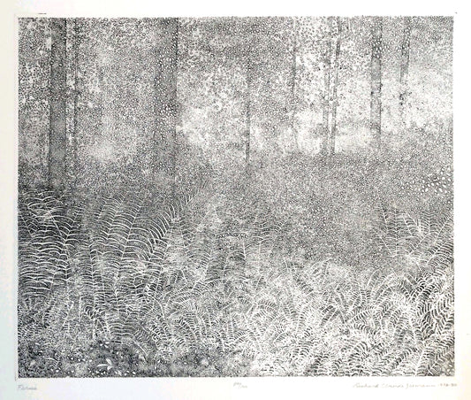 Richard Claude Ziemann 'Ferns' Limited Edition, Signed  Etching